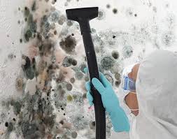 Oakridge, OR Mold Removal Services Company